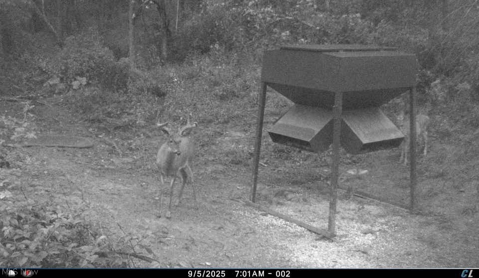 Kinnen Road Caldwell, OH 43724 - Photo 8 of 37