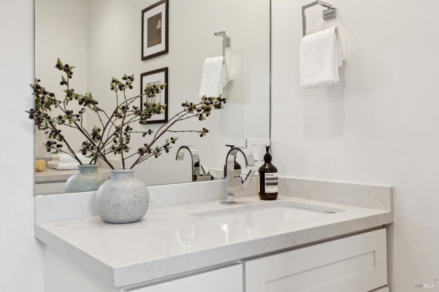 31 Mohawk Avenue Corte Madera, CA 94925 - Photo 27 of 57 a close view of sink