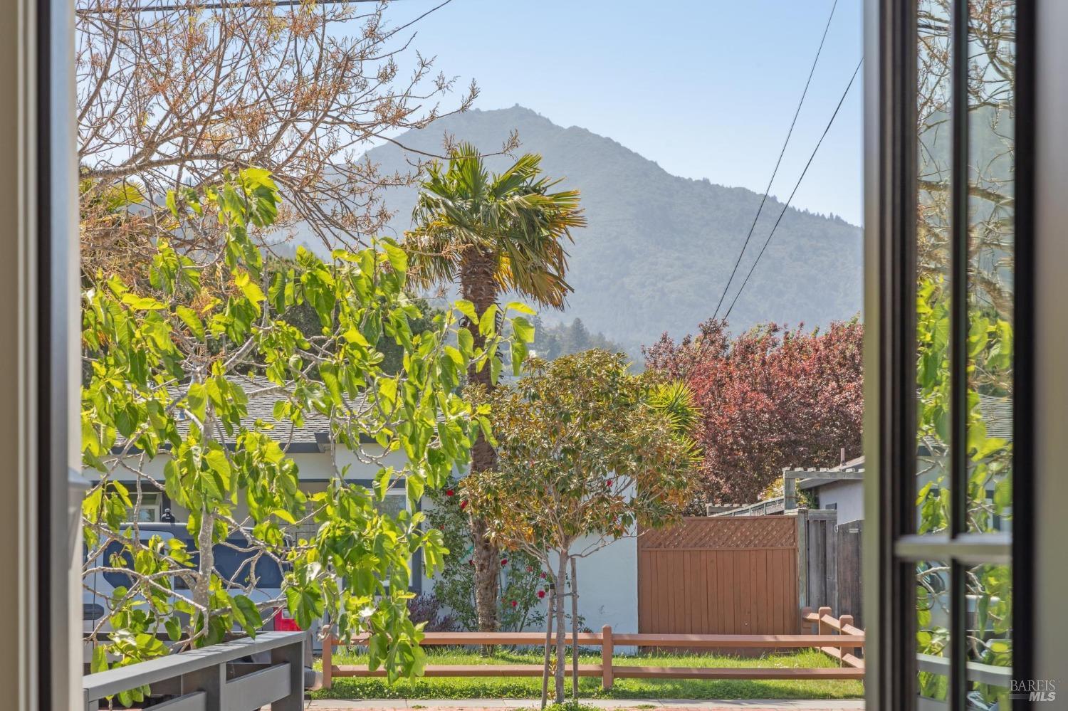 31 Mohawk Avenue Corte Madera, CA 94925 - Photo 6 of 57 a view of an outdoor space and a yard