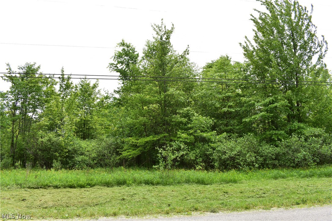 Forman Road Austinburg, OH 44010 - Photo 4 of 21 Gallery Image 4