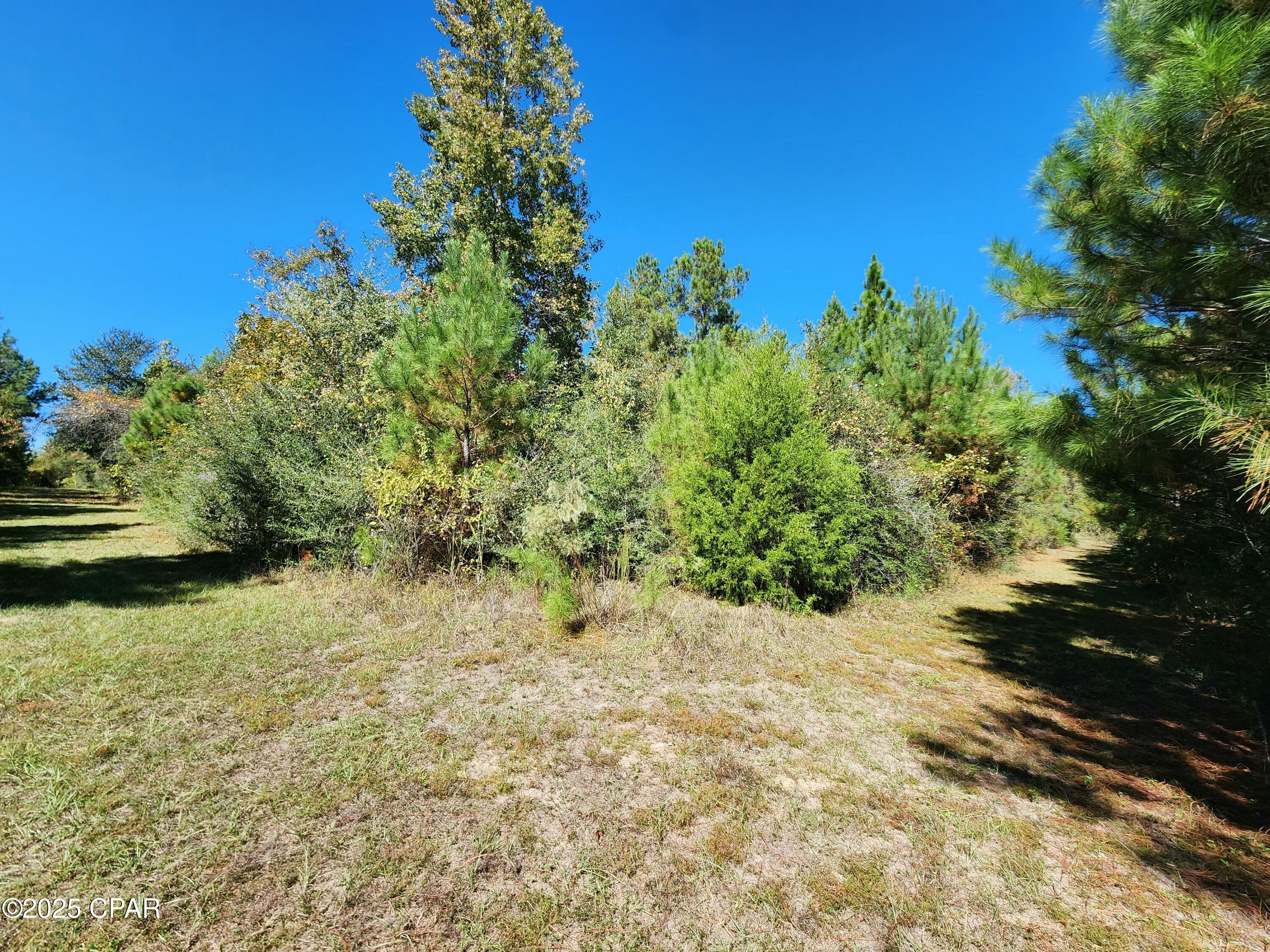 0 Pineridge Church Road Marianna, FL 32448 - Photo 20 of 33