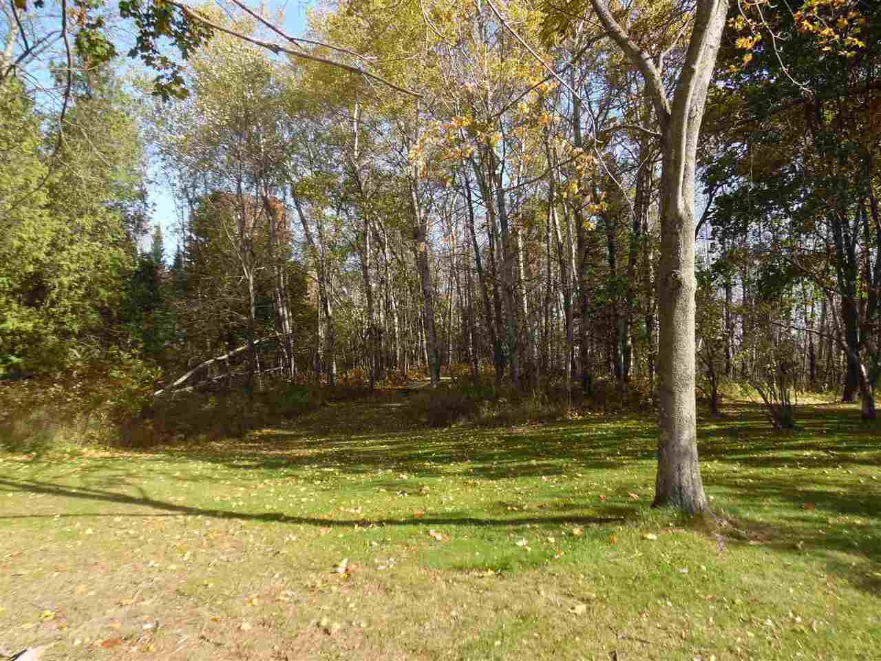 4300 Meyering Road McBain, MI 49657 - Photo 21 of 56 1807881-23.JPG