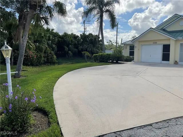 a view of a backyard with potted plants and palm trees