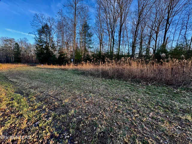 George Drive, Deer Lodge, TN 37726