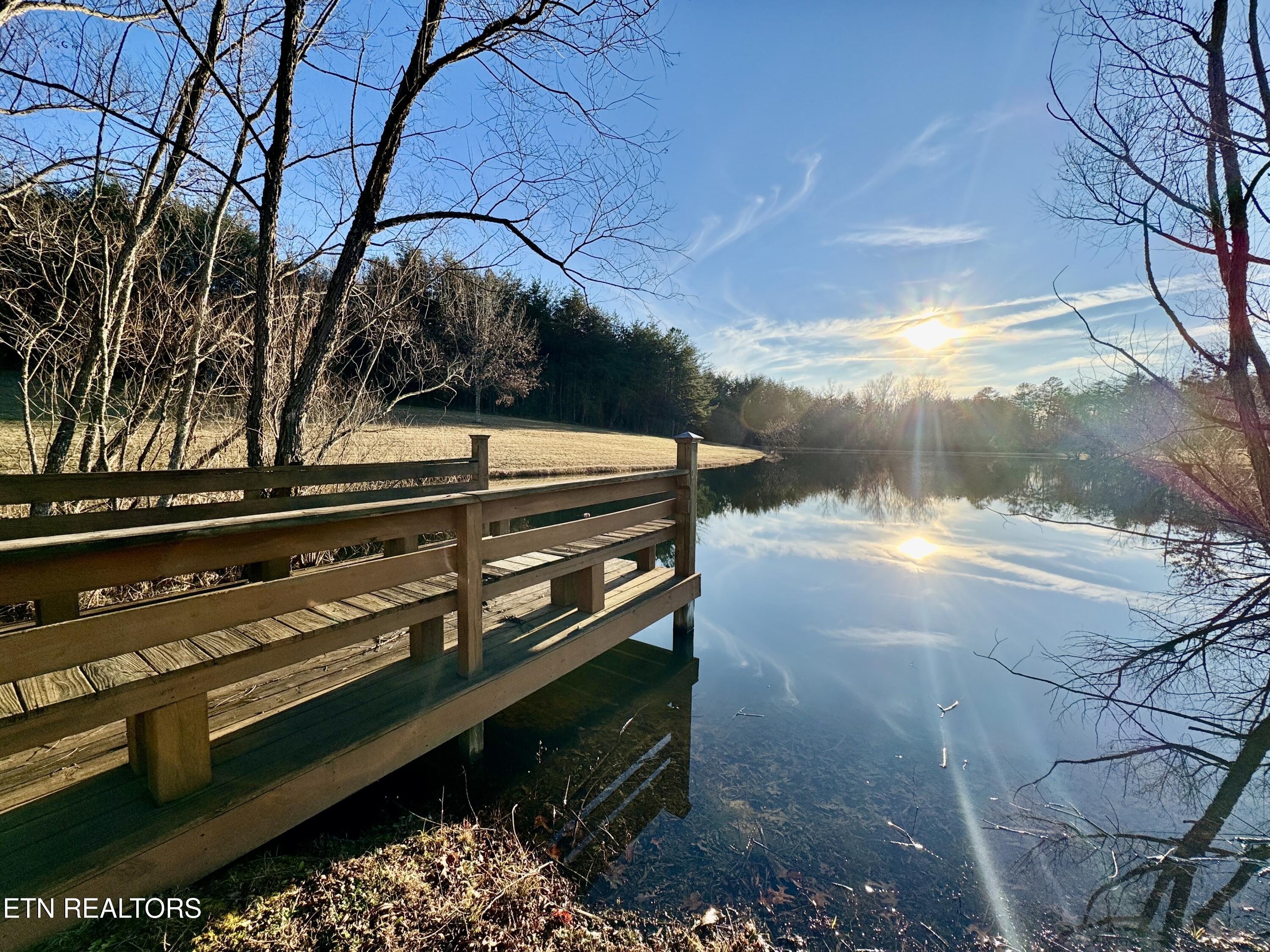 George Drive Deer Lodge, TN 37726 - Photo 15 of 18 2-8