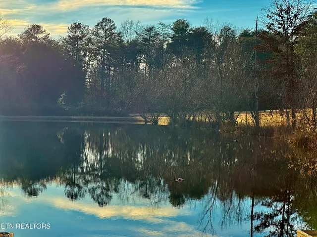 George Drive, Deer Lodge, TN 37726