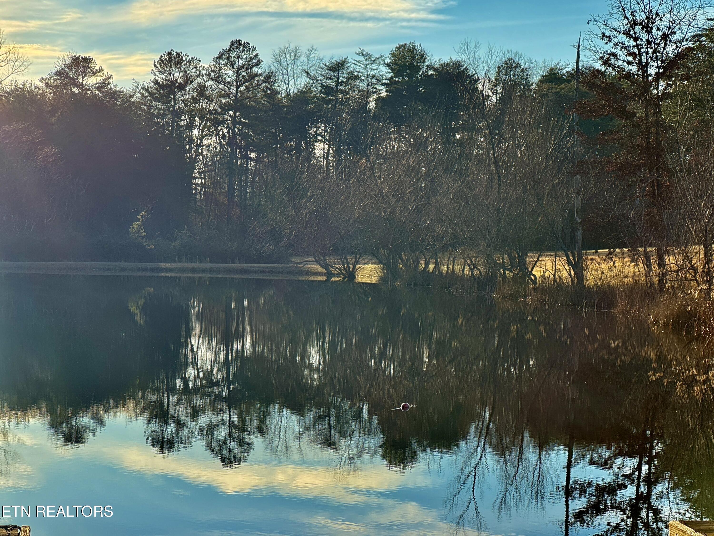 George Drive Deer Lodge, TN 37726 - Photo 16 of 18 2-9