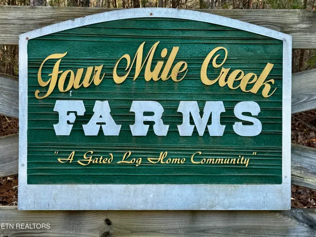 George Drive, Deer Lodge, TN 37726