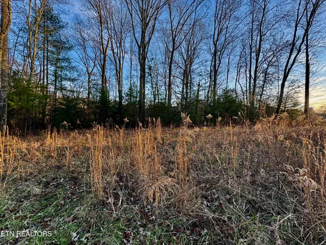 George Drive, Deer Lodge, TN 37726