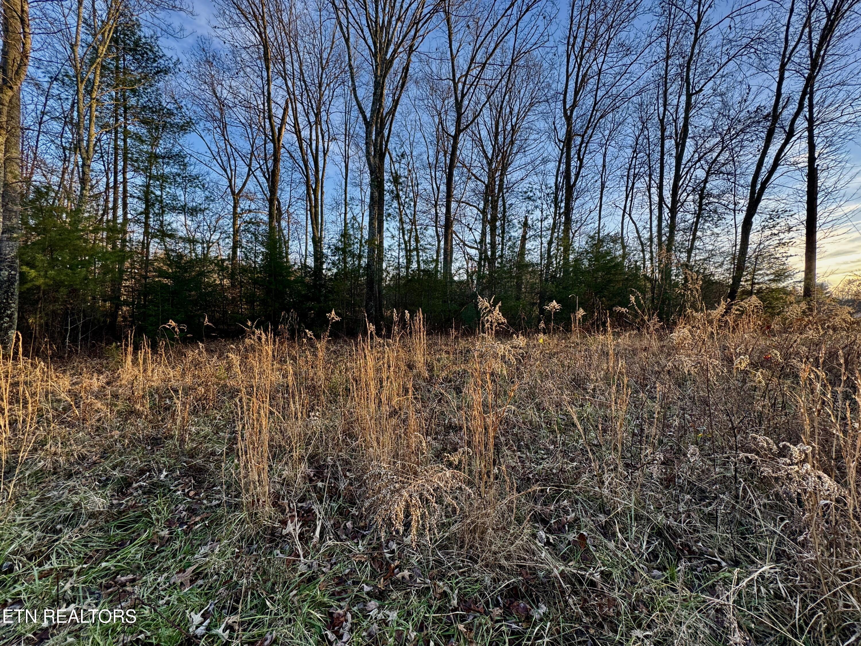 George Drive Deer Lodge, TN 37726 - Photo 2 of 18 4-2
