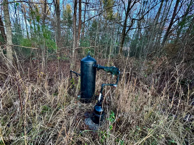 George Drive, Deer Lodge, TN 37726