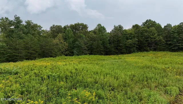 George Drive, Deer Lodge, TN 37726