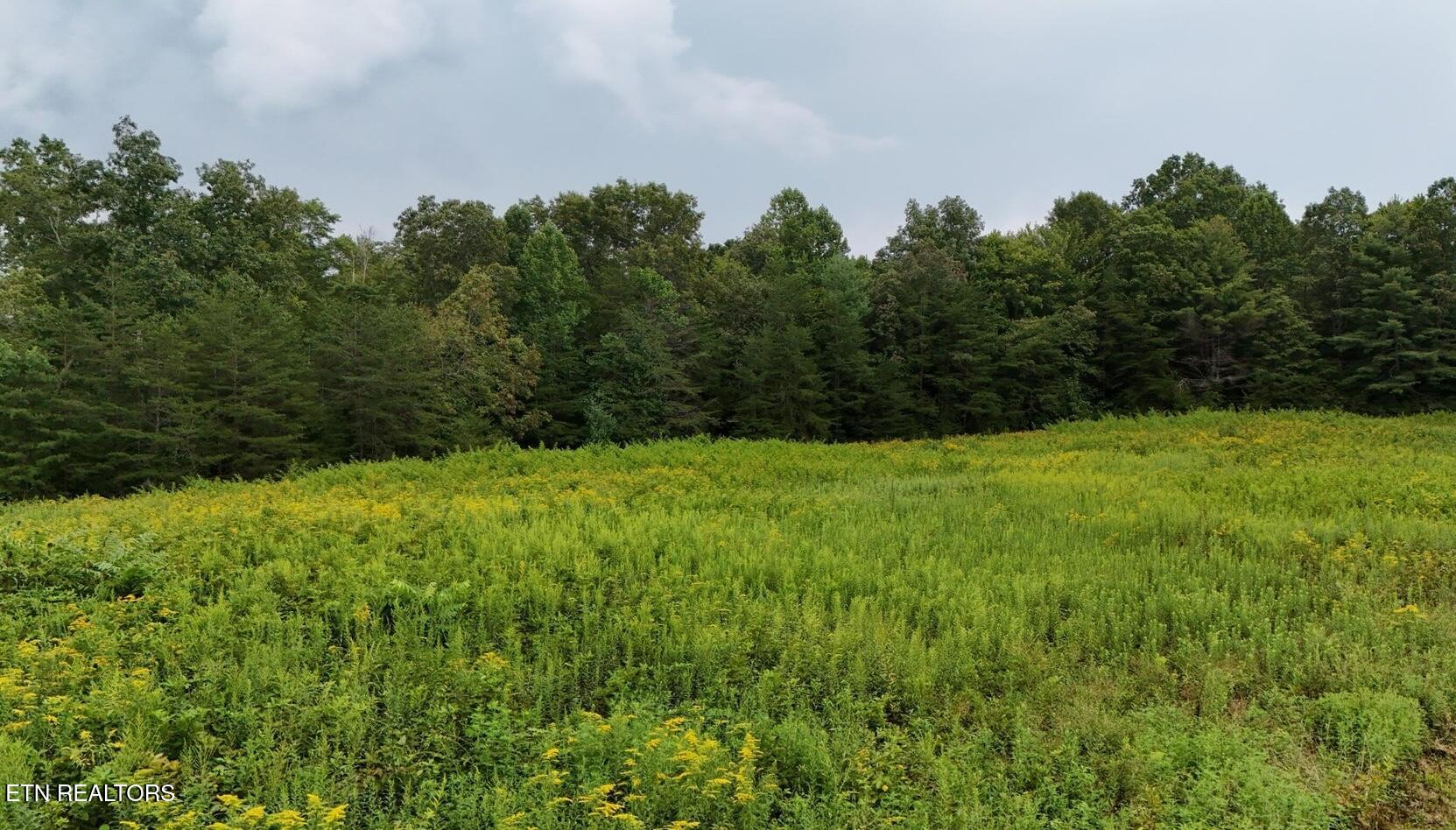 George Drive Deer Lodge, TN 37726 - Photo 6 of 18 4-6