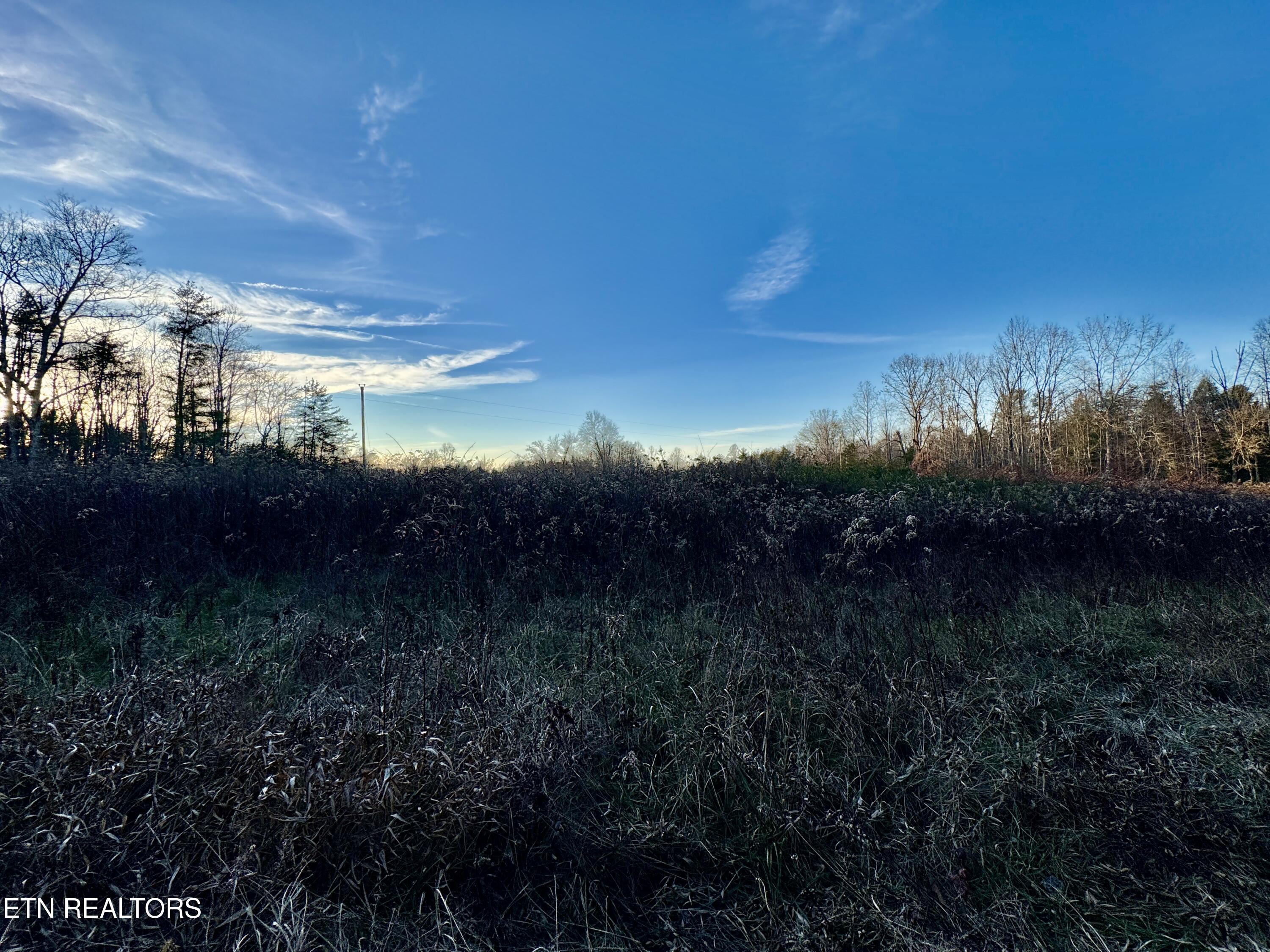 George Drive Deer Lodge, TN 37726 - Photo 9 of 18 4-9