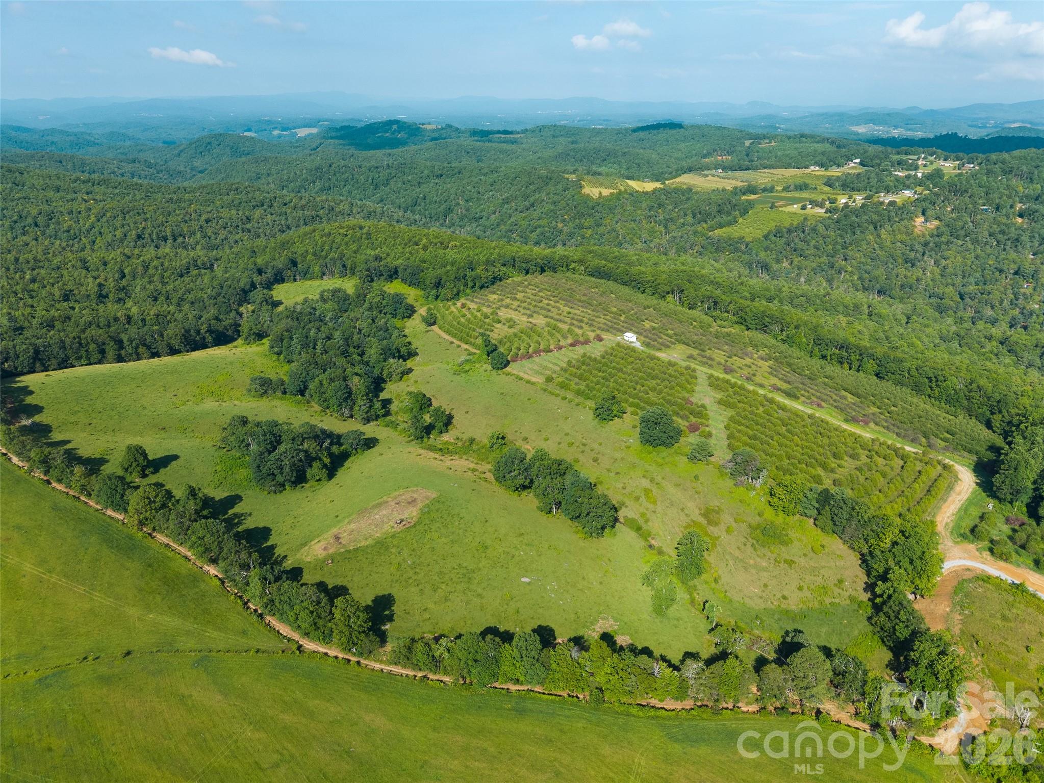 0 Summer Road, Unit 2 Hendersonville, NC 28792 - Photo 7 of 16