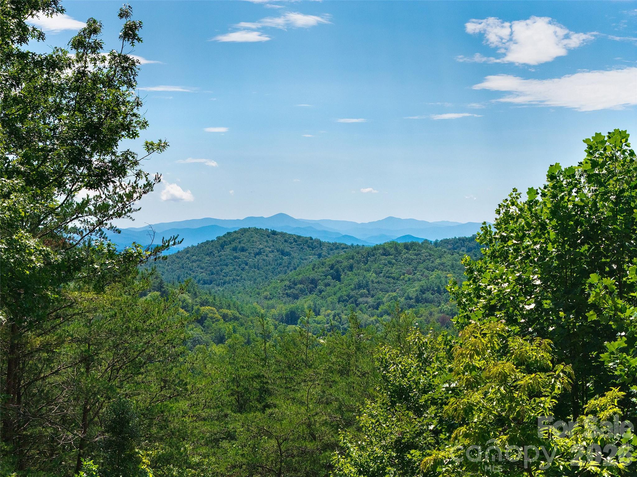 225 Long Branch Road Swannanoa, NC 28778 - Photo 33 of 34 Gallery Image 33