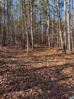 a view of a backyard of the house