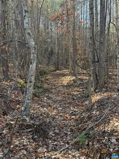 $129,900 | Tbd Union Hill Drive, Wingina, VA 24599