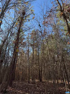 a view of backyard with green space