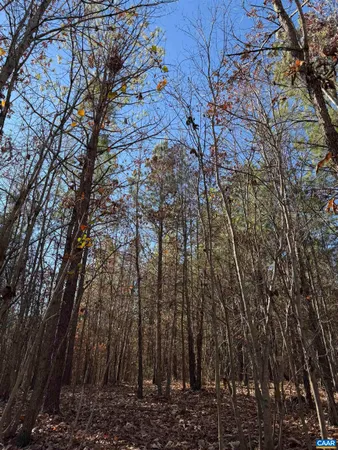 a view of backyard with green space