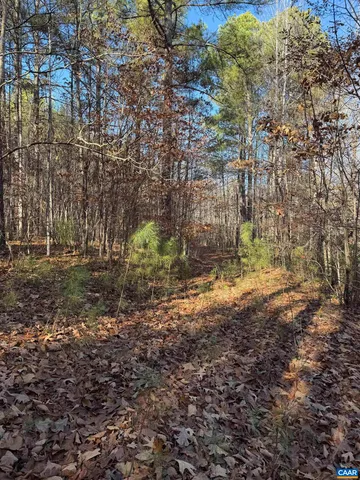 a view of a yard with trees