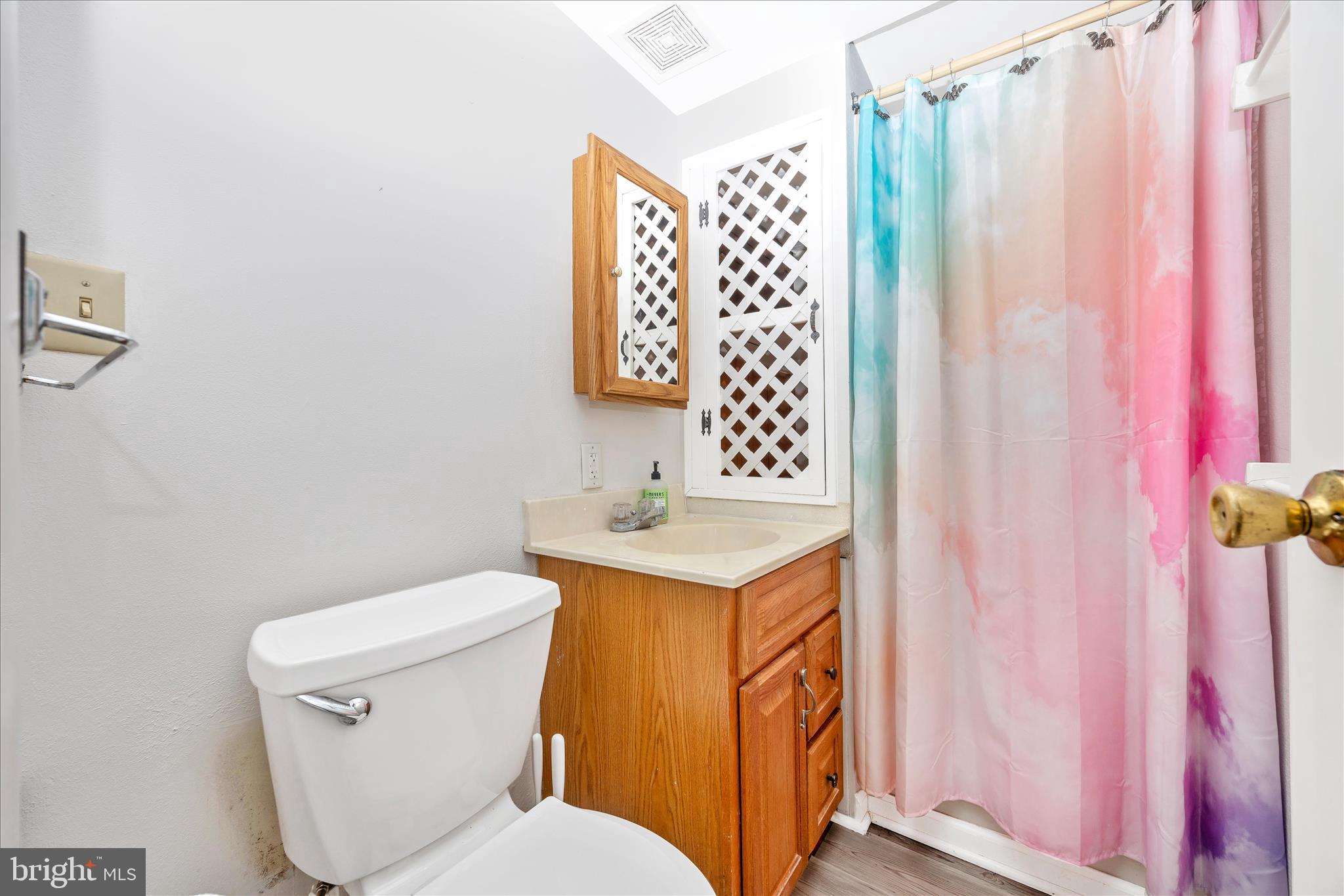12644 Jesse Smith Road Mount Airy, MD 21771 - Photo 24 of 31 a bathroom with a toilet sink and curtain
