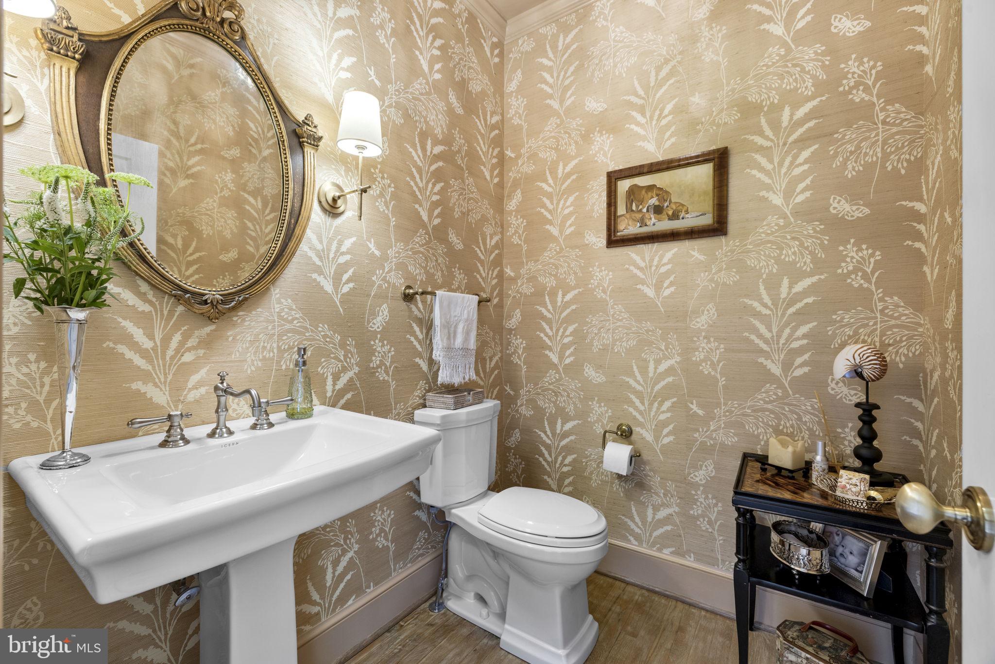 36190 Turkey Roost Road Middleburg, VA 20117 - Photo 13 of 88 a bathroom with a sink a mirror and a toilet