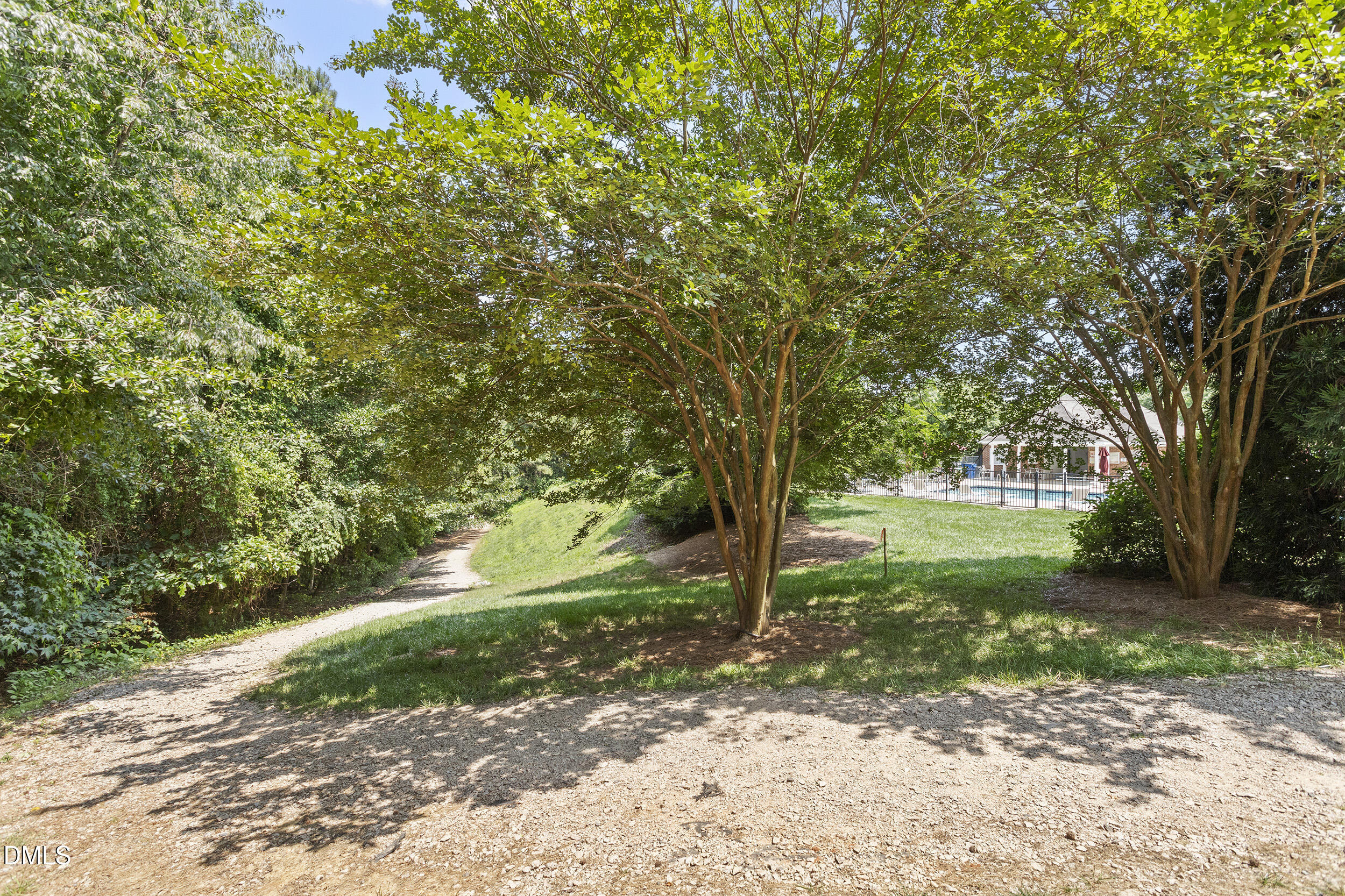 4724 Ludwell Branch Court Raleigh, NC 27612 - Photo 68 of 72 a view of a yard with plants and trees