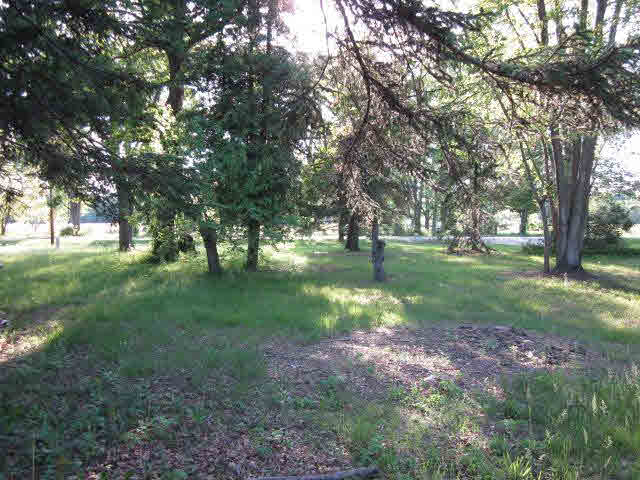 5405 Wells Road Petersburg, MI 49270 - Photo 3 of 14 20093744-2.JPG