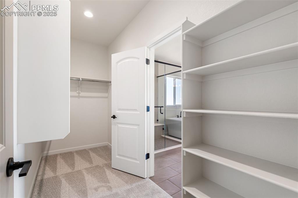 9643 Owl Perch Loop Colorado Springs, CO 80908 - Photo 26 of 50