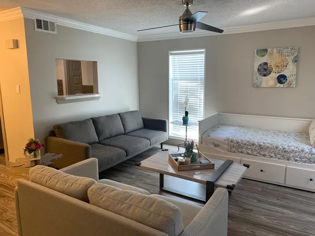 a living room with furniture and a potted plant