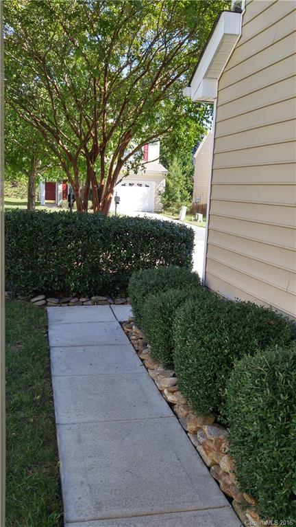 3908 Caliper Place, Unit 325 Fort Mill, SC 29708 - Photo 3 of 24 a view of a yard with plants and a large tree