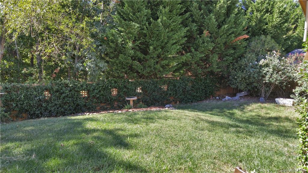 3908 Caliper Place, Unit 325 Fort Mill, SC 29708 - Photo 24 of 24 a backyard of a house with lots of green space