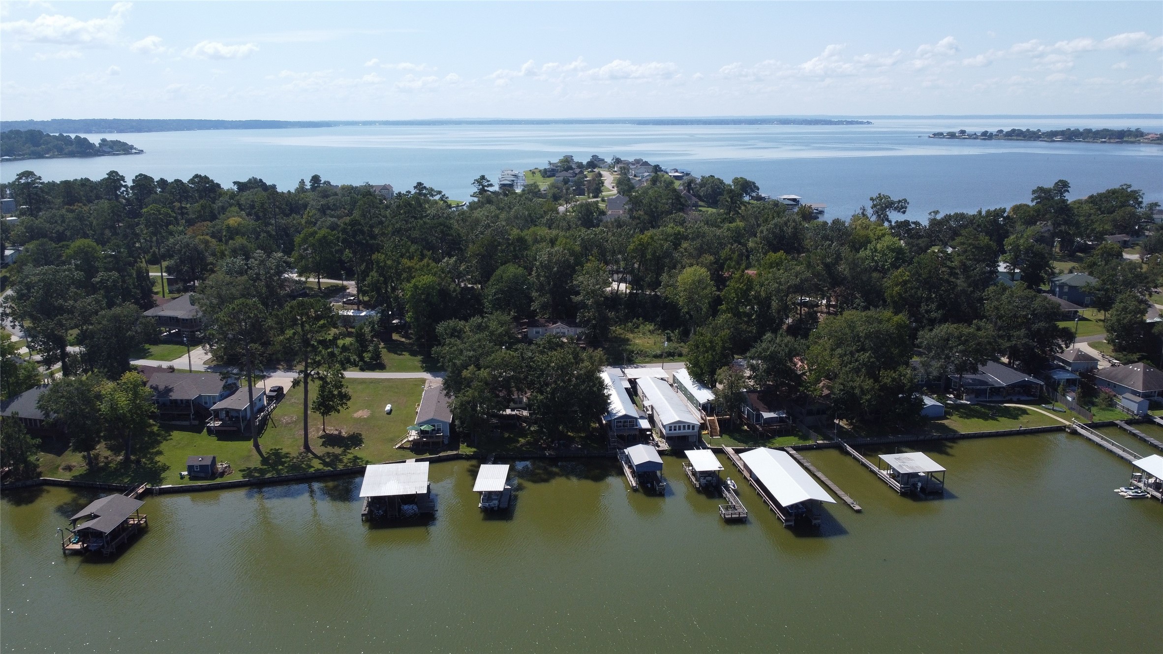 225 Basil Livingston, TX 77351 - Photo 21 of 22 an aerial view of a city