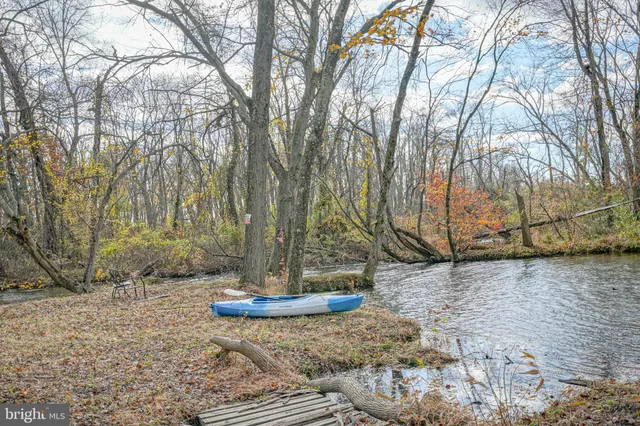 a view of a yard with trees