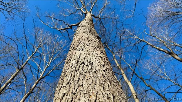 $474,900 | 21055 Highway 66, Cannelton, IN 47520