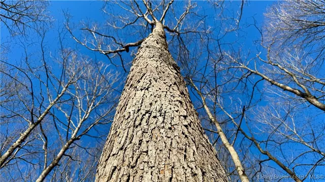 $474,900 | 21055 Highway 66, Cannelton, IN 47520