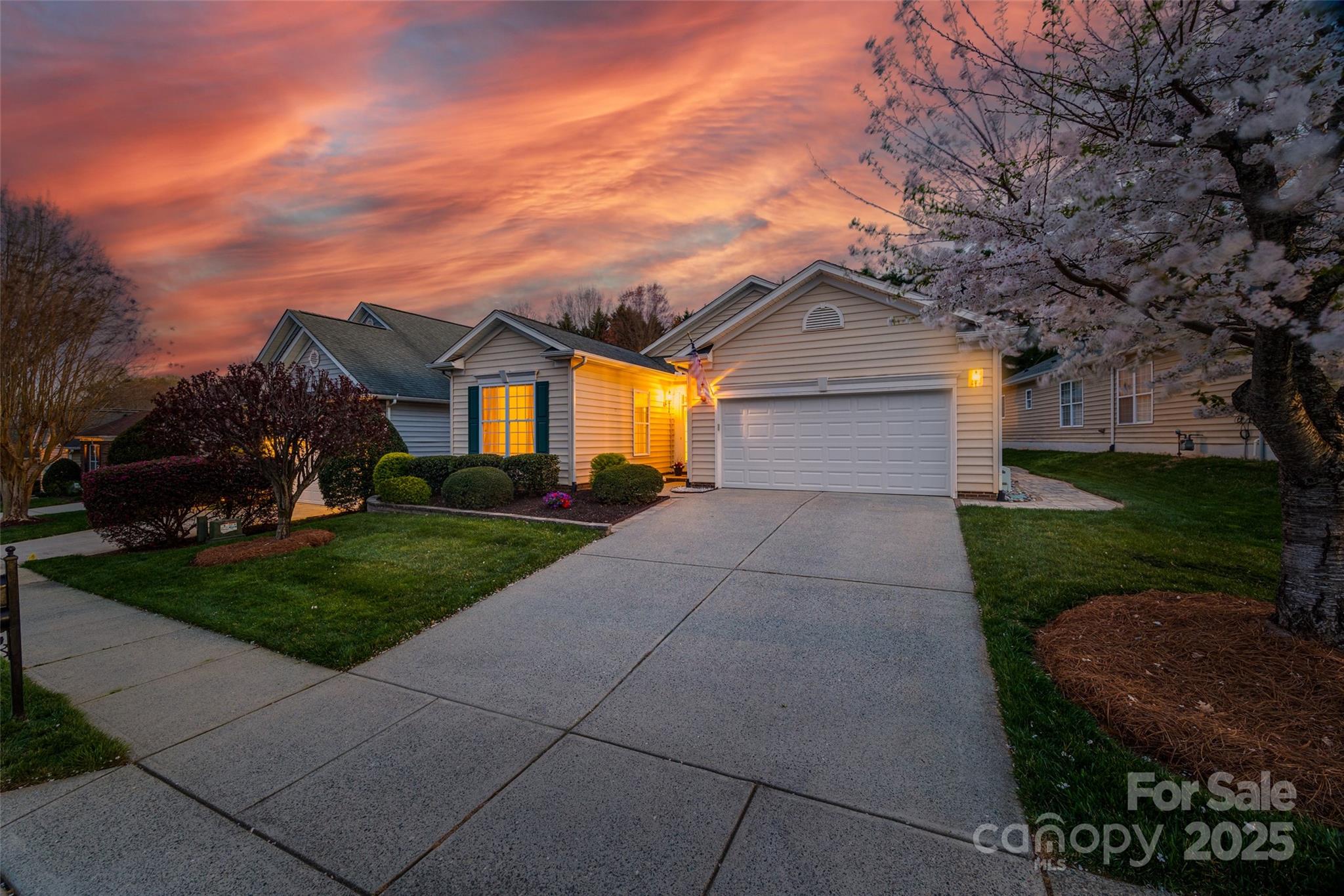 974 Platinum Drive Fort Mill, SC 29708 - Photo 37 of 48 a front view of a house with a yard and garage
