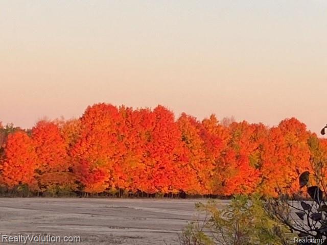 40-acres North Summers Road Imlay City, MI 48444 - Photo 1 of 8 Gallery Image 1