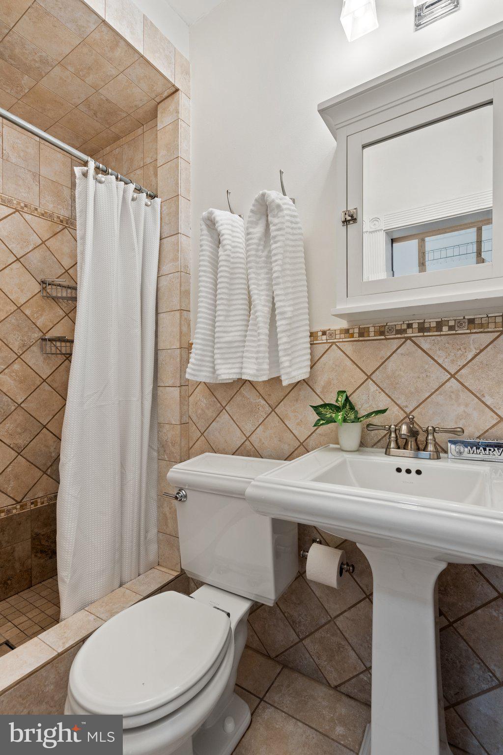 1619 Marion Street Northwest Washington, DC 20001 - Photo 27 of 41 Primary suite bath