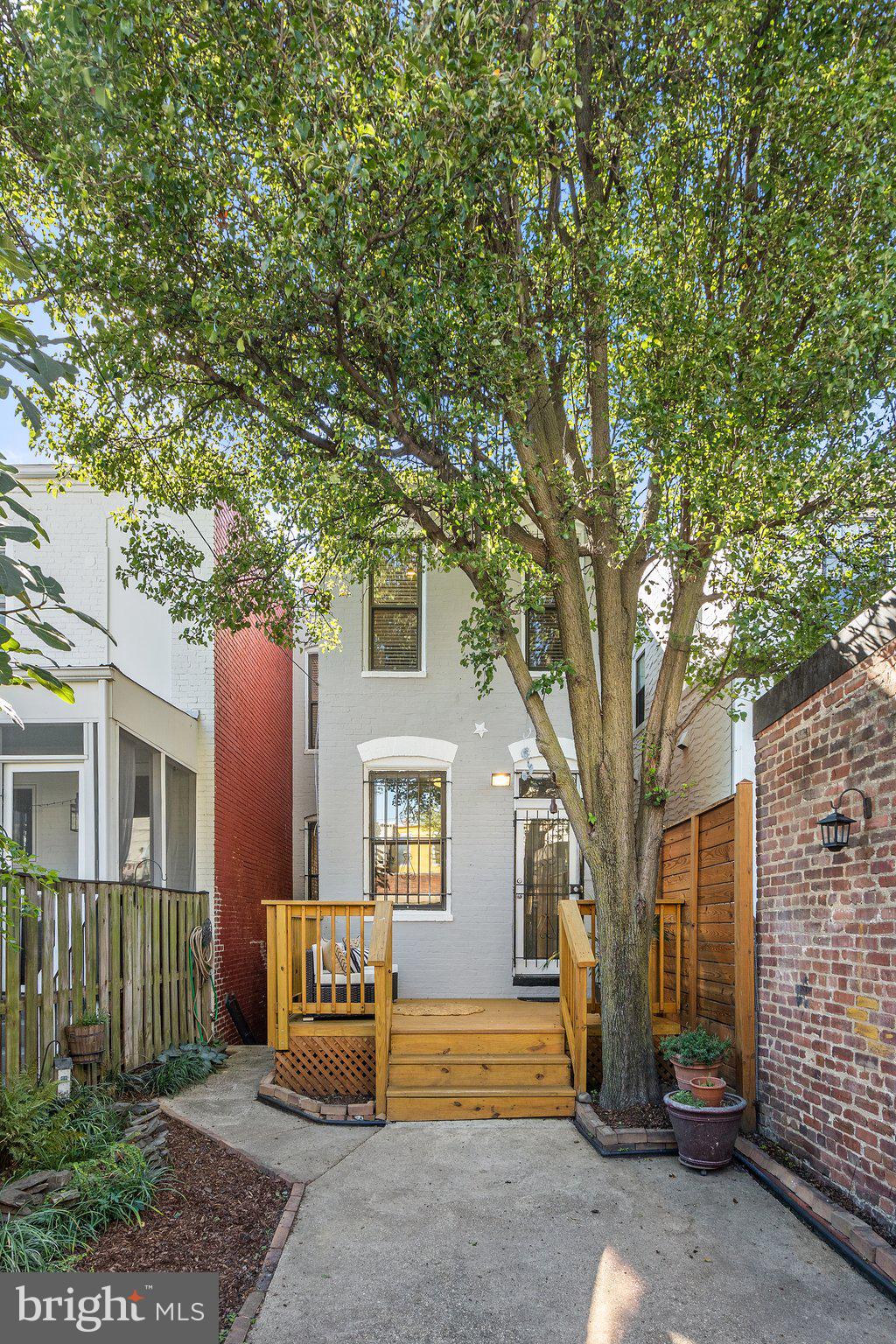 1619 Marion Street Northwest Washington, DC 20001 - Photo 40 of 41 Gorgeous tree canopy