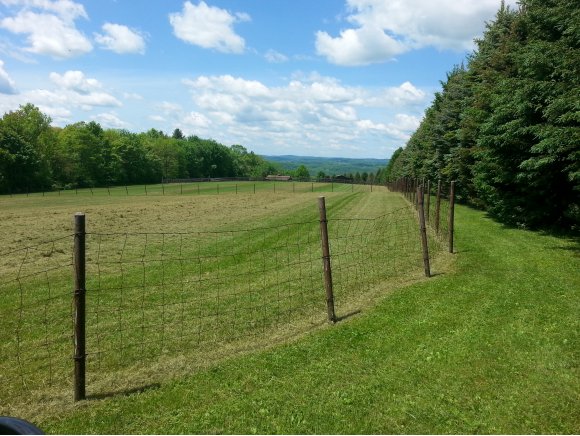 978 Ballyhack Road Port Crane, NY 13833 - Photo 9 of 24 Gallery Image 9