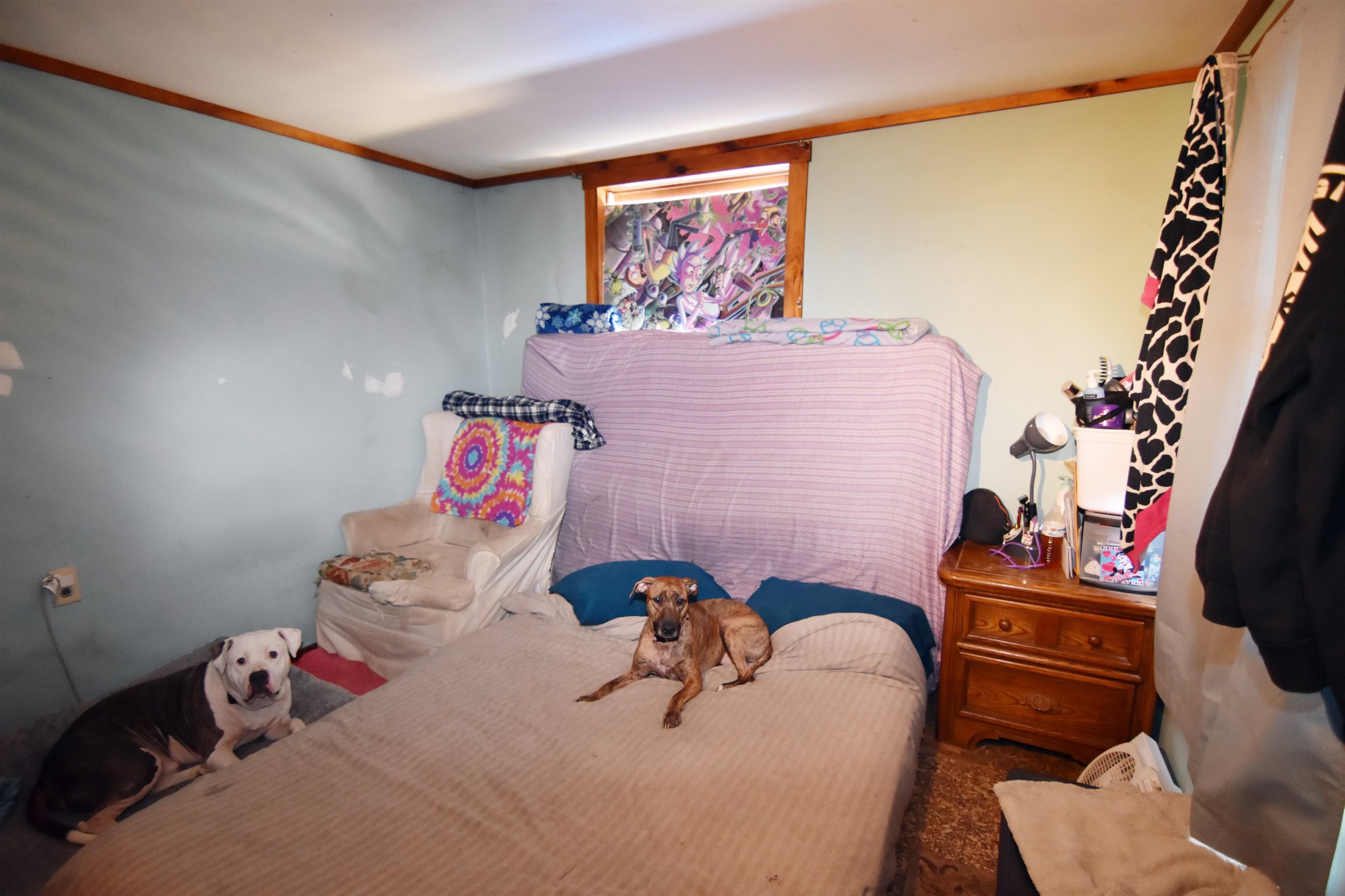 4067 Whipple Hollow Road West Rutland, VT 05744 - Photo 24 of 38