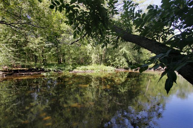 55159 West End Three Rivers, MI 49093 - Photo 22 of 24 Additional Photo