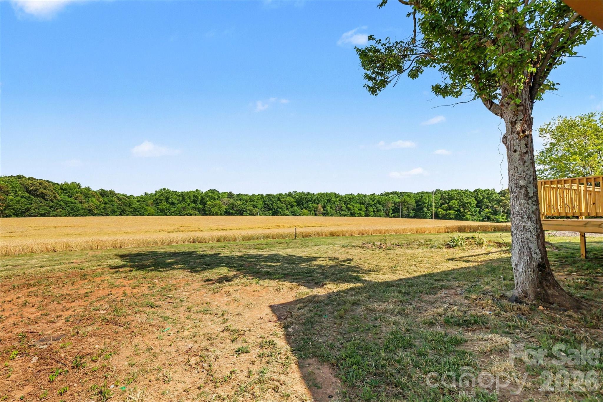 6710 Effie Whitley Road Monroe, NC 28112 - Photo 17 of 48