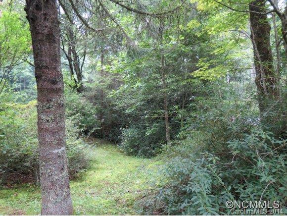 2756 East Fork Road Brevard, NC 28712 - Photo 14 of 17 Gallery Image 14