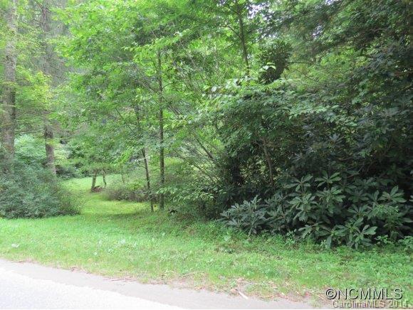 2756 East Fork Road Brevard, NC 28712 - Photo 17 of 17 Gallery Image 17