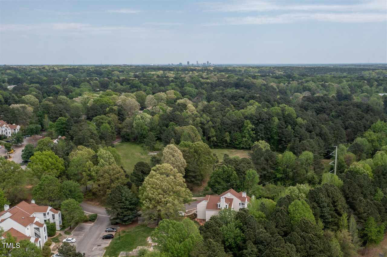 6151 Summer Pointe Place, Unit 302 Raleigh, NC 27606 - Photo 17 of 17 skyline