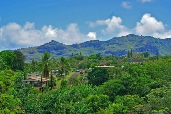 2928 Lot 5-i Waa Road Lihue, HI 96766 - Photo 1 of 5 a view of a mountain in the distance in a field