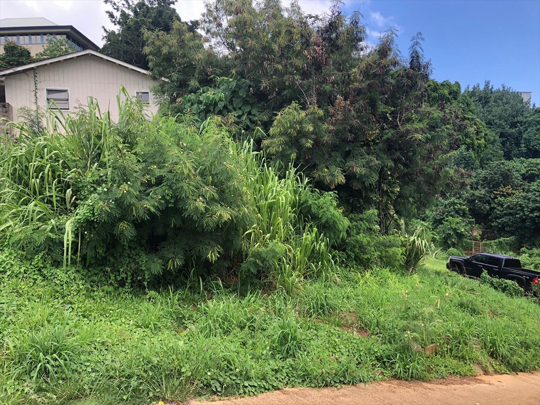 2928 Lot 5-i Waa Road Lihue, HI 96766 - Photo 3 of 5 a view of a house with a yard